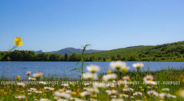 Новости Крыма - 