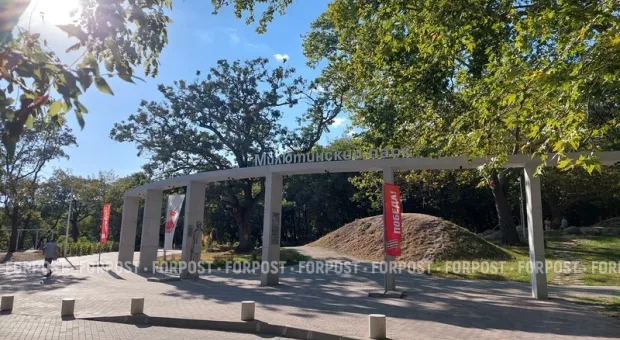 Новости Крыма - Пустые залы, скандалы и уголовное дело: почему новый «Колобок» разозлил зрителей