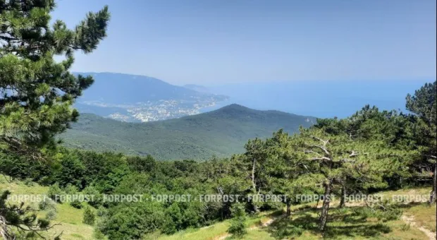 Новости Крыма - 