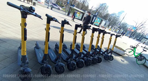 Новости Севастополя - 