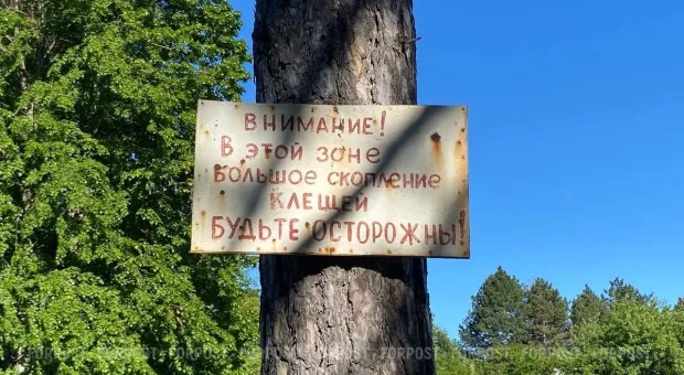 Новости Крыма - Погибших в ночной атаке на Севастополь 28 августа нет, — губернатор Развожаев