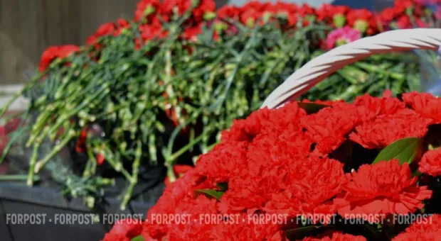 Новости Крыма - В Севастополе во время пожара пострадал человек 