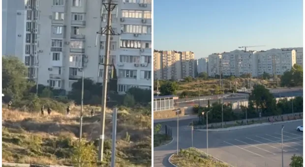 В Севастополе взорвали автомобиль, на месте работают спецслужбы