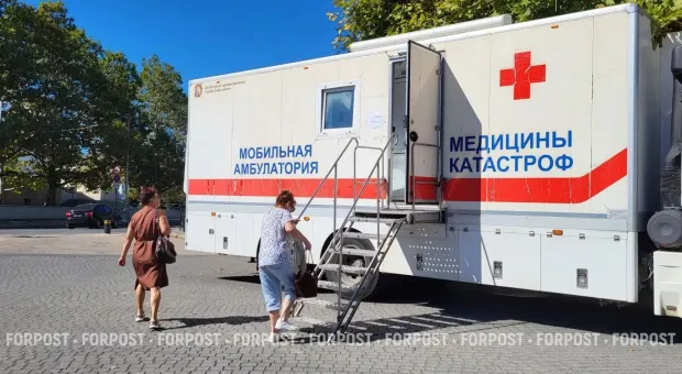 Новости Севастополя - Три причины, почему в России подорожали основные овощи, и чего ждать от цен