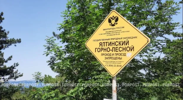 Новости Крыма - 
