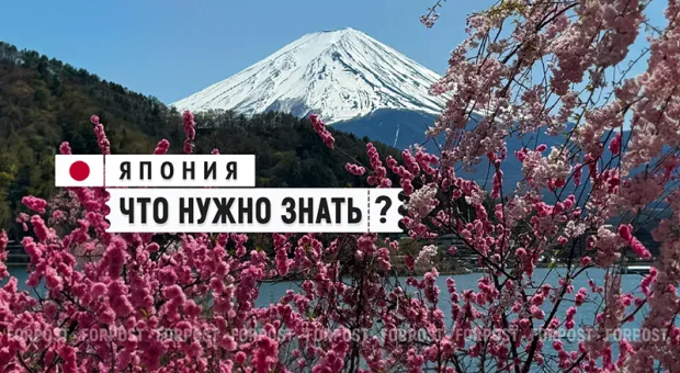 Сакура, Фудзи и мечта. Как россияне покоряют Японию и на чём экономят