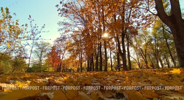 Новости Крыма - 