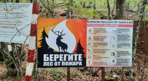 Новости Севастополя - 