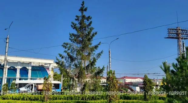Новости Севастополя - 
