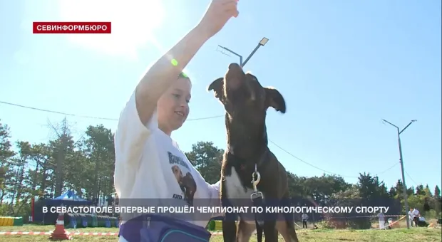 Новости Севастополя - 