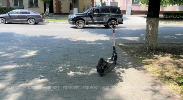 Новости Севастополя - 