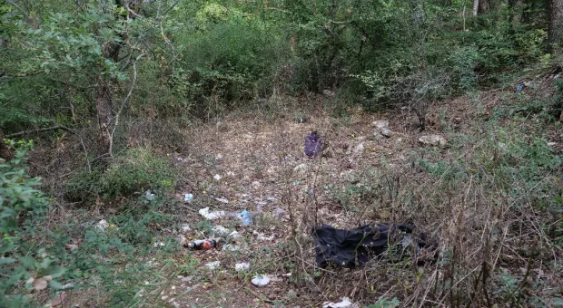 Турист удивился свалке мусора на въезде в Севастополь 