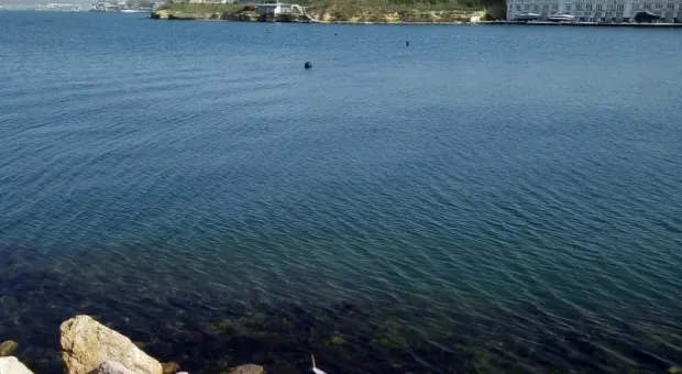 Новости Севастополя - Как будут работать школы и садики Севастополя