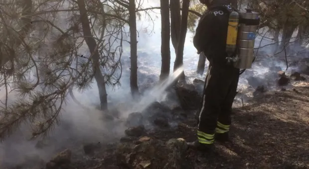 В Севастополе горели леса в Штурмовом и Делагардовой балке 