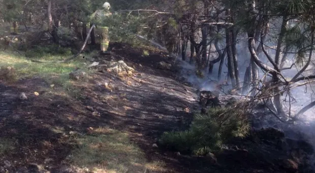 В Севастополе горели леса в Штурмовом и Делагардовой балке 