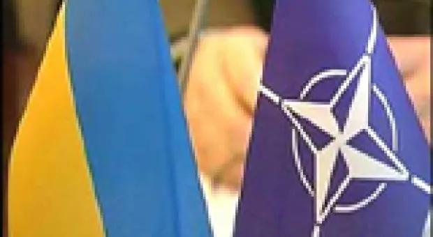 Мировые новости - Нация Винни-Пухов
