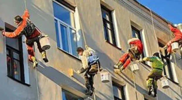 Новости Севастополя - Севастопольские многоквартирные дома стали убежищем для крыс