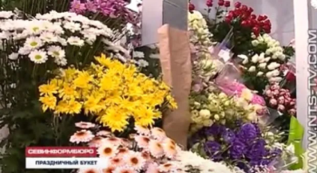 Новости Севастополя - В Минэкономразвития разъяснили, как и кого будут штрафовать за техосмотр