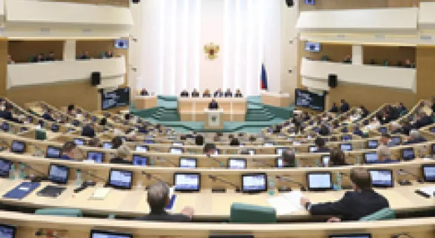 Мировые новости - Город или джунгли? Памятники Севастополя утонули в зарослях
