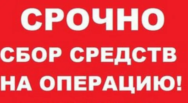 Новости Севастополя - В России наступил день тишины перед выборами