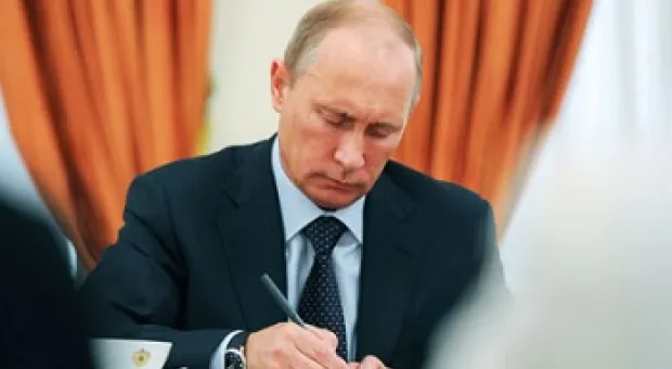 Новости Севастополя - Севастопольским чиновникам понадобились измельчитель деревьев и праздничная иллюминация