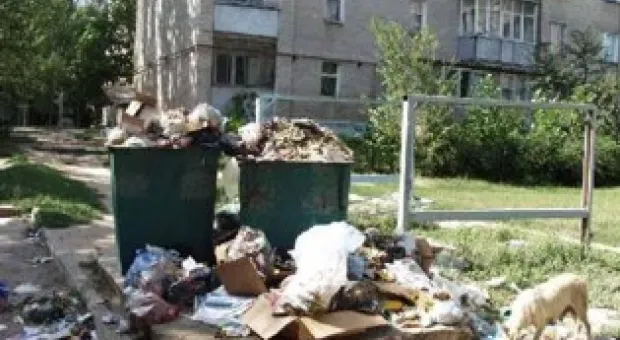 Мировые новости - Литвин предлагает ввести плату за въезд в Украину