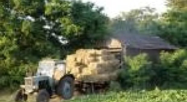 Мировые новости - Джексона забальзамируют в позе "лунной походки" и выставят на всеобщее обозрение
