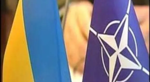 Новости Севастополя - Открытие филиала Центра социальных служб для семьи, детей и молодежи в г. Инкерман