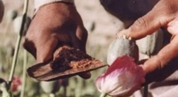 Мировые новости - В спальне Майкла Джексона нашли марихуану