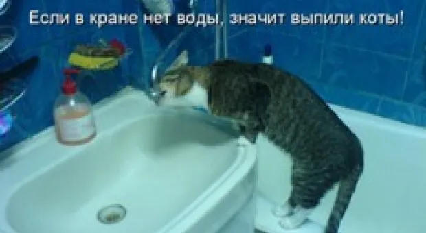 Новости Севастополя - В Севастополе состоялась премьера спектакля "Фабричная девчонка"