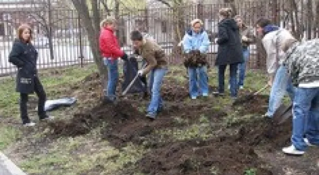 Новости Севастополя - В Севастополе 74 общеобразовательные школы, 32 высших учебных заведения, 6 филиалов российских вузов