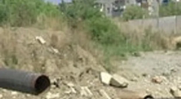 Новости Севастополя - Экологи начинают акцию по озеленению Севастополя