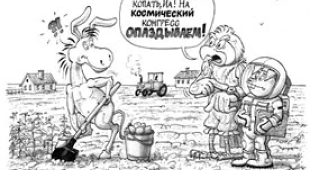 Мировые новости - Чем быть садовому товариществу - общественной организацией или обслуживающим кооперативом?