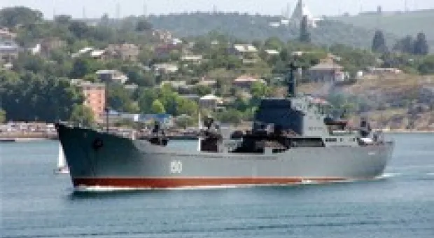 Новости Севастополя - Из-за кризиса в Севастополе снизился сбор урожая зерновых и плодовоягодных культур