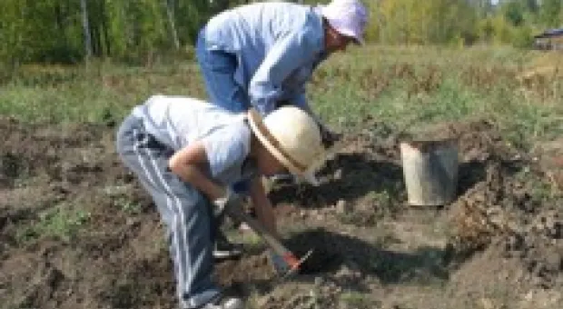 Новости Севастополя - Вакарчук взрывает мозг: Постановление Кабмина об использовании украинского языка в школе защищает права нацменьшинств