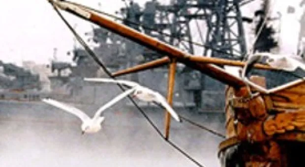 Новости Севастополя - Севастопольские библиотекари встретились с финской коллегой