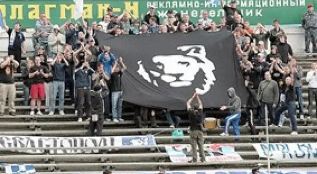 Новости Севастополя - В Голубой бухте Севастополя дачники травят купальщиков