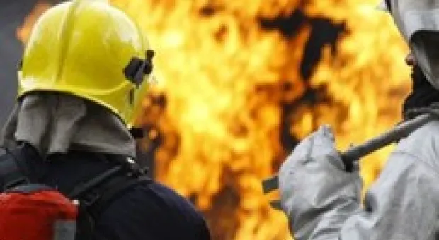 Новости Севастополя - В Севастополе у капитана турецкого теплохода отобрали 35 блоков сигарет