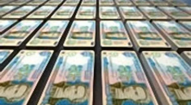 Новости Севастополя - Севастополь окружен кладбищами деревьев