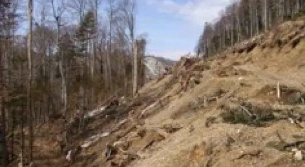 Новости Севастополя - ПР: Военный стадион Севастополя необходимо передать в собственность горсовета