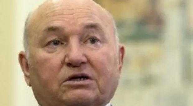 Новости Севастополя - Казарин нашел в Севастополе место и Елизарову, и Поплавскому