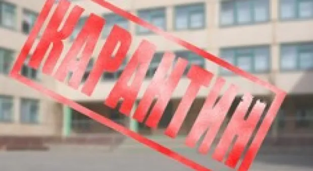 Новости Севастополя - В Севастополе продавались подушки от “всех” болезней