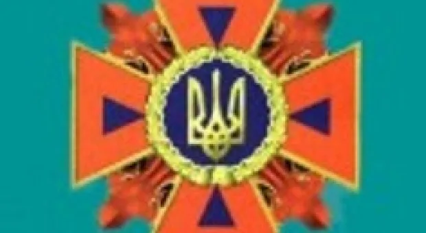 Новости Севастополя - В Севастополе прошла акция по высадке деревьев