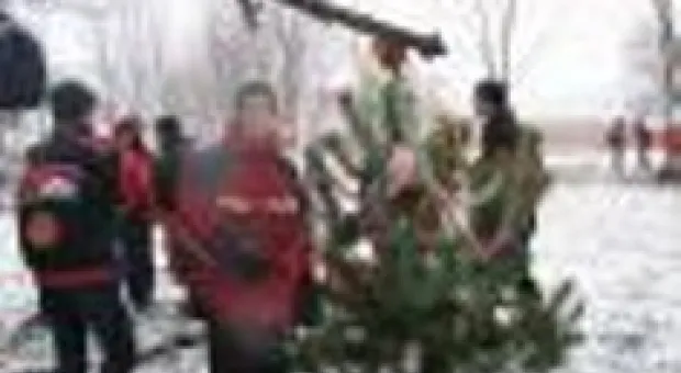 Новости Севастополя - Новый год в Севастополе начнется с концерта в поддержку Тимошенко