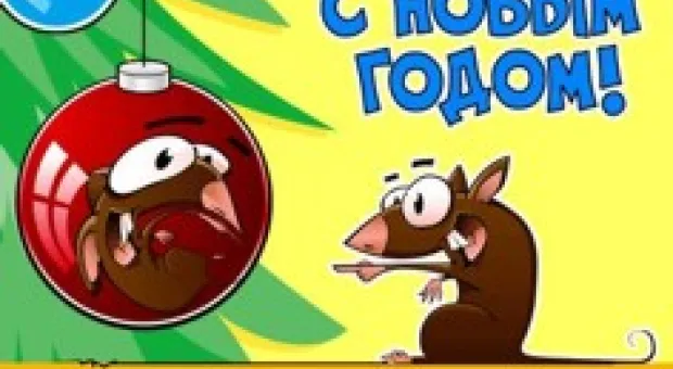 Новости Севастополя - В Севастополе мальчиков рождается больше, чем девочек