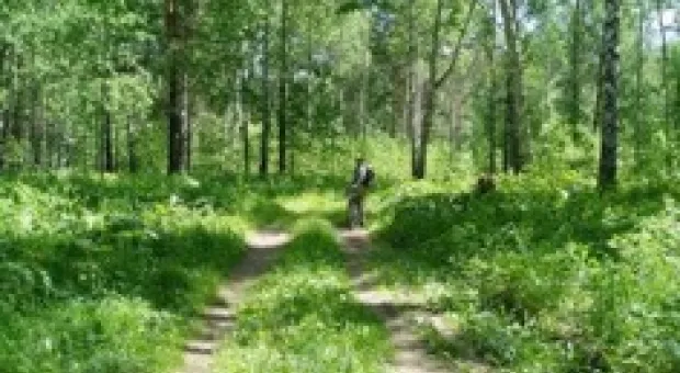 Новости Севастополя - Стратегически проблему подачи горячей воды удастся решить весной