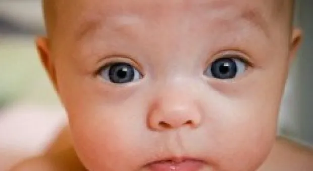 Новости Севастополя - В Севастополе нормализовалась ситуация на рынке занятости