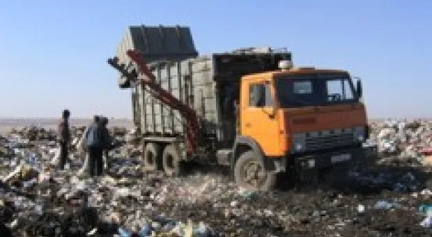Новости Севастополя - В урочище Ласпи продолжают рубить вековой можжевельник