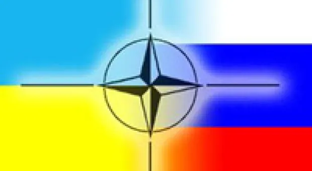 Мировые новости - Янукович возмутился судьями, которые заказывают себе иностранных рок-звезд
