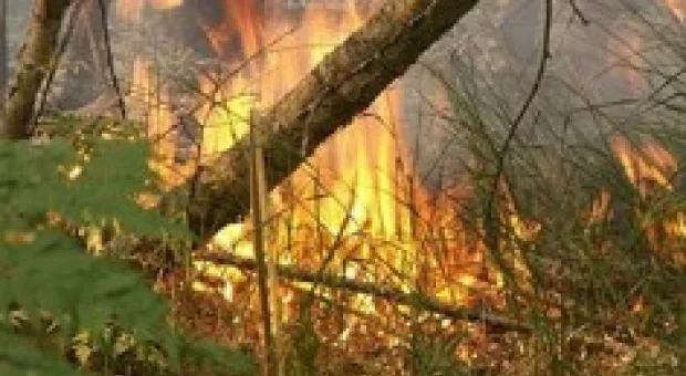 Новости Севастополя - Надежда для Алисы - госструктуры отказали девочке-инвалиду